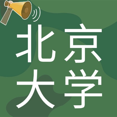北京大学2024年-buzhou3