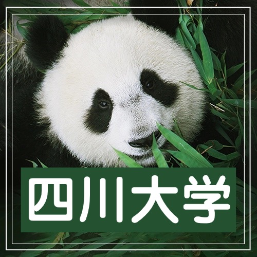 四川大学2020年-buzhou3